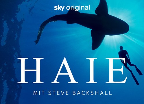 Haie - mit Steve Backshall | Sky X