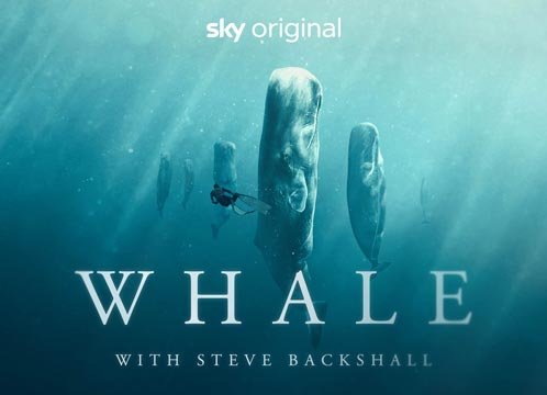 Wale - mit Steve Backshall | Sky X