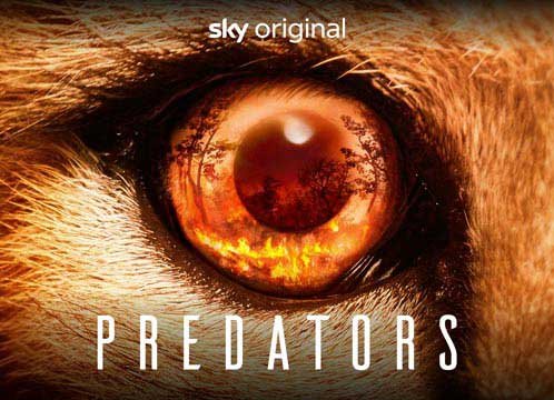 Predators | Sky X