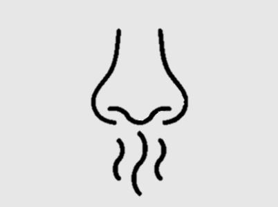 Merkwürdiger/verbrannter Geruch