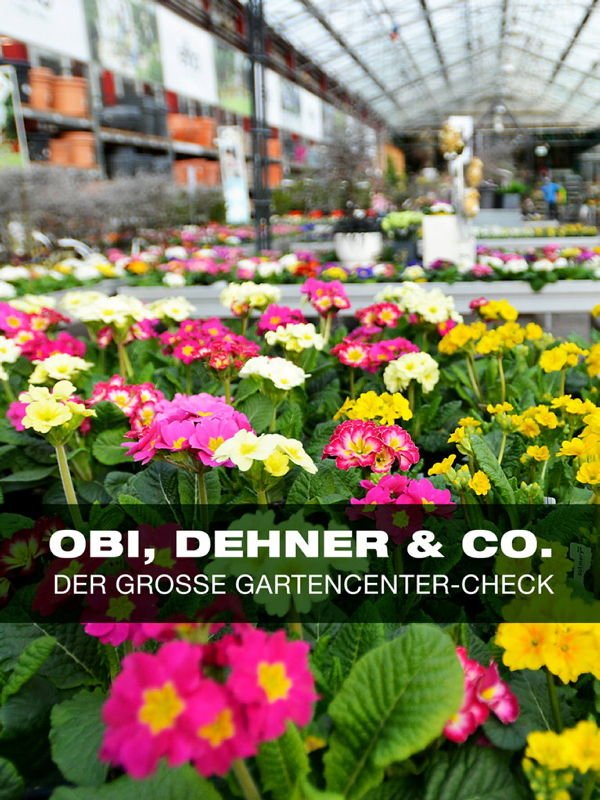 ZDFzeit: Obi, Dehner & Co. - Der große Gartencenter-Check
