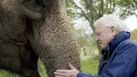 David Attenboroughs Wunder der Natur