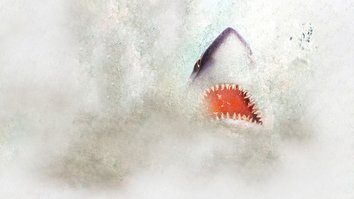Mega Predators - Südaustraliens ultimative Meeresräuber