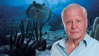 David Attenborough: Der Ursprung des Lebens