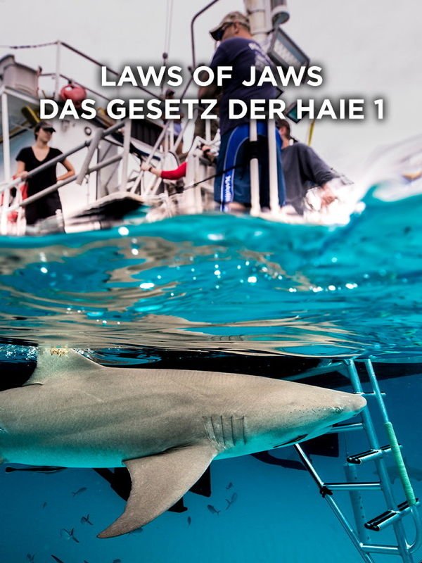 Laws of Jaws - Das Gesetz der Haie