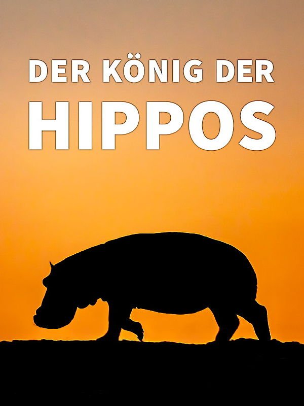 Der König der Hippos