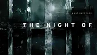 The Night Of - Die Wahrheit einer Nacht