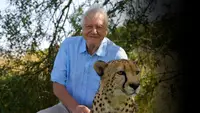 David Attenboroughs Wunder der Natur
