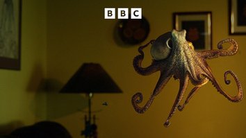 Der Oktopus in meinem Wohnzimmer