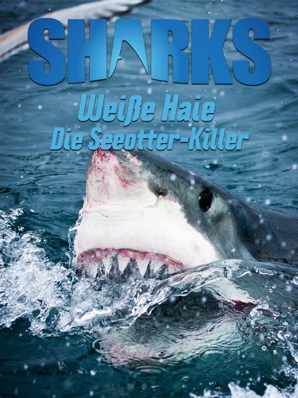 Weiße Haie: Die Seeotter-Killer
