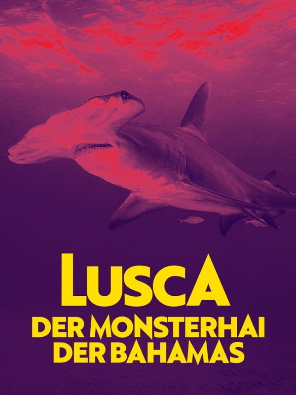 Lusca - Der Monsterhai der Bahamas