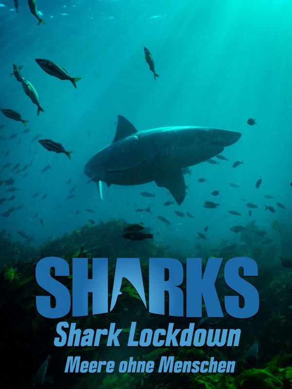 Shark Lockdown - Meere ohne Menschen