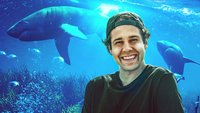 David Dobrik & Friends: Urlaub unter Haien
