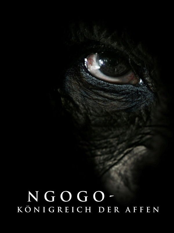 Ngogo - Königreich der Affen