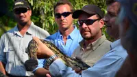 Floridas Python-Jäger