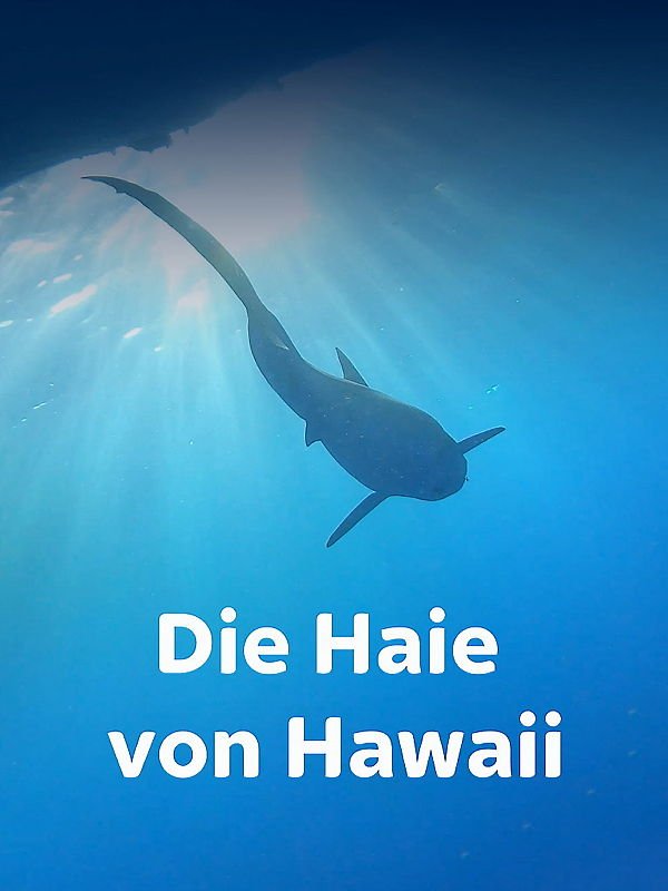 Die Haie von Hawaii