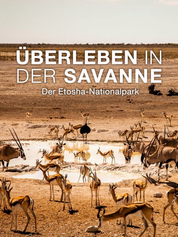 Überleben in der Savanne - Der Etosha-Nationalpark