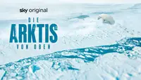 Die Arktis von oben
