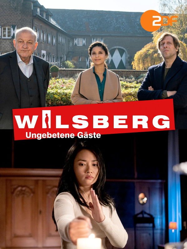Wilsberg: Ungebetene Gäste