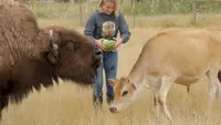 Fantastische Tierfreundschaften