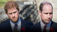 Harry und William - Zwei Prinzen gegen die Presse