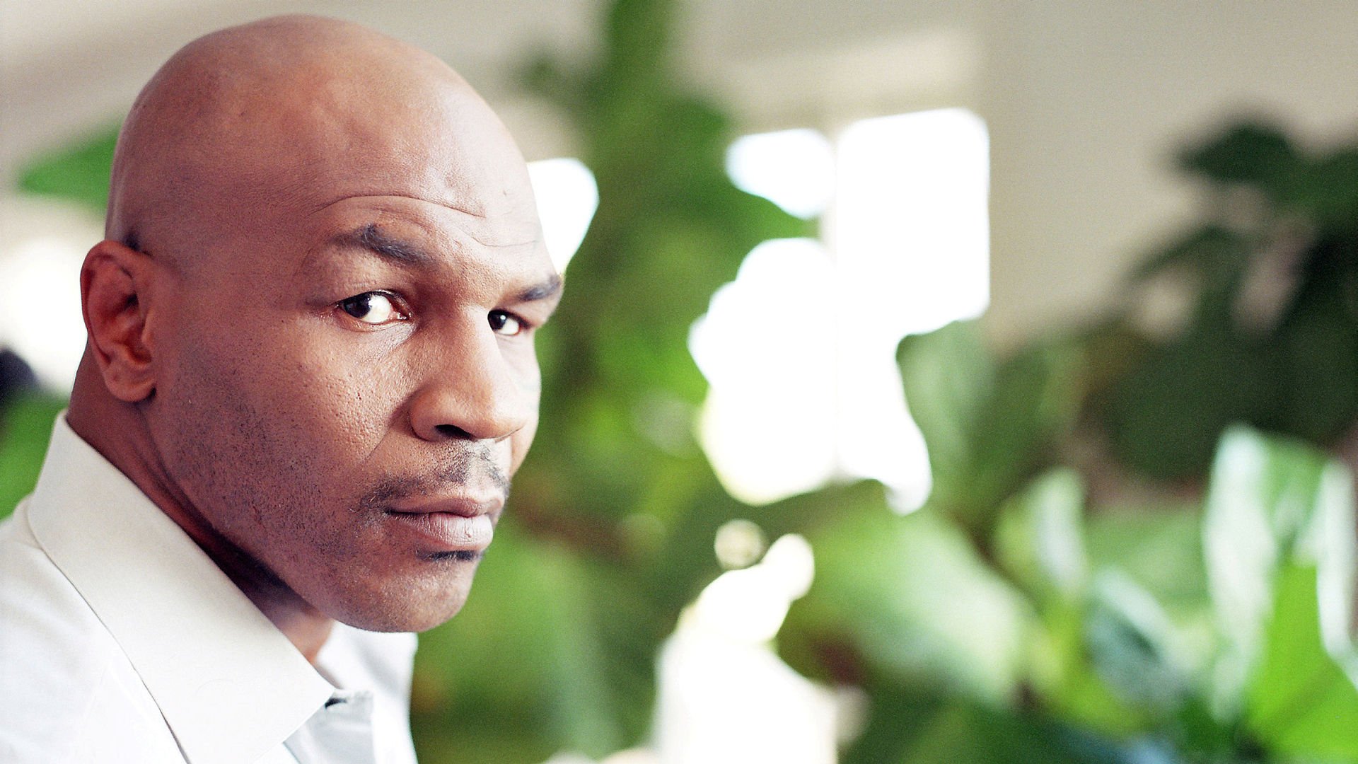 Тайсон 2008. Тайсон. Mike Tyson. Mike Tyson in 2008. Майк Тайсон 1995.