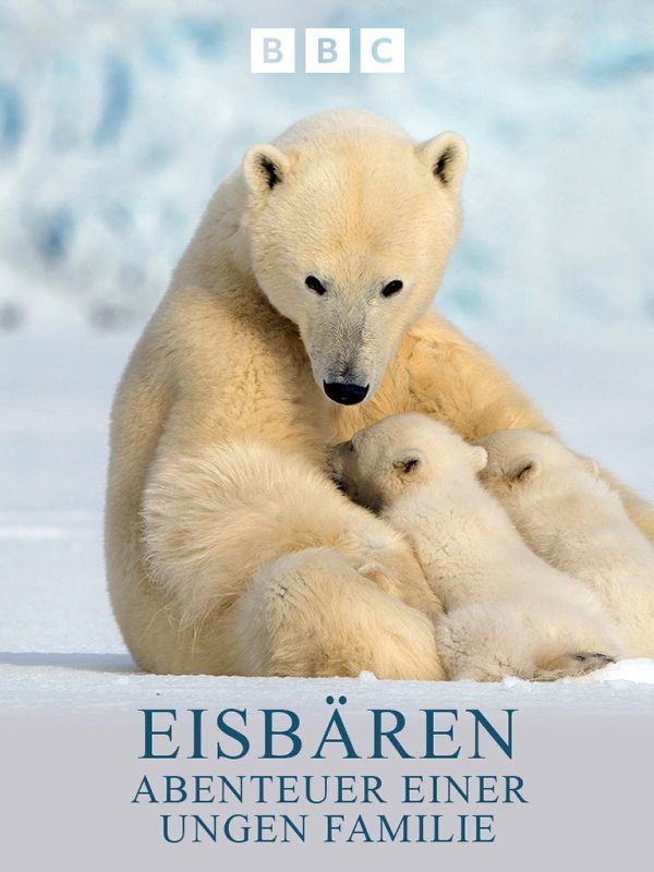 Eisbären - Abenteuer einer jungen Familie