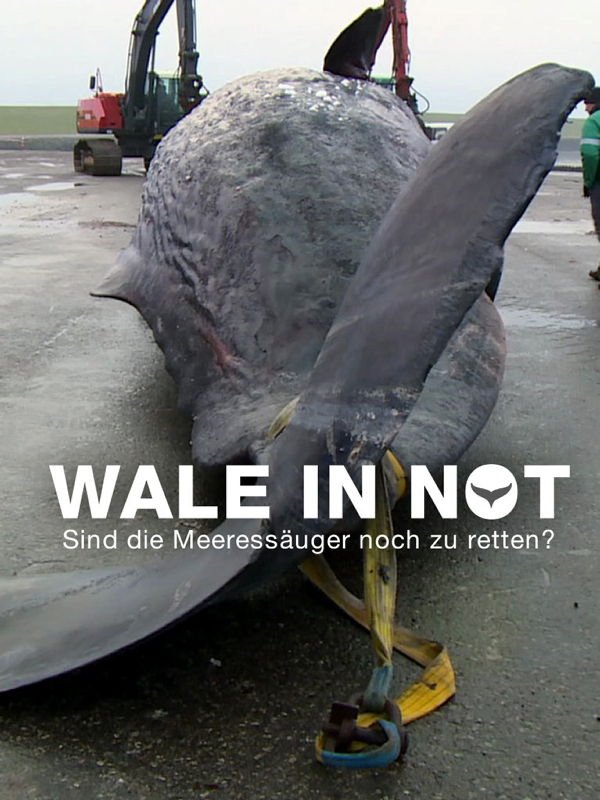 planet e.: Wale in Not - Sind die Meeressäuger noch zu retten?