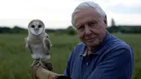 David Attenboroughs Könige der Lüfte