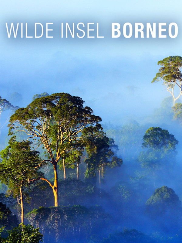 Wilde Insel Borneo