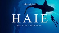 Haie - mit Steve Backshall