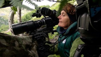 Kamera-Frauen in der Wildnis