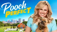 Pooch Perfect USA