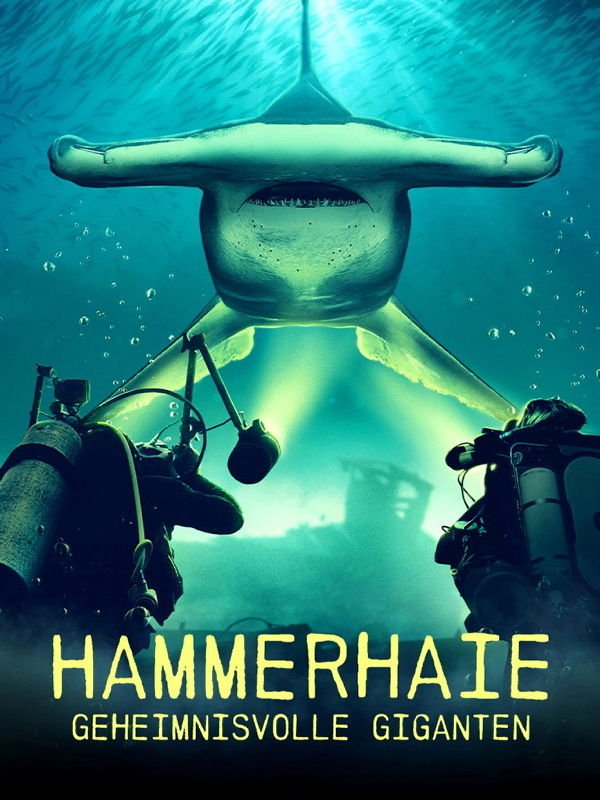 Hammerhaie - Geheimnisvolle Giganten
