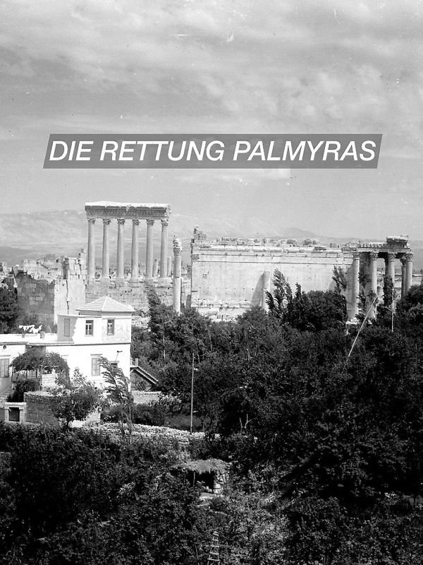 Terra X: Die Rettung Palmyras