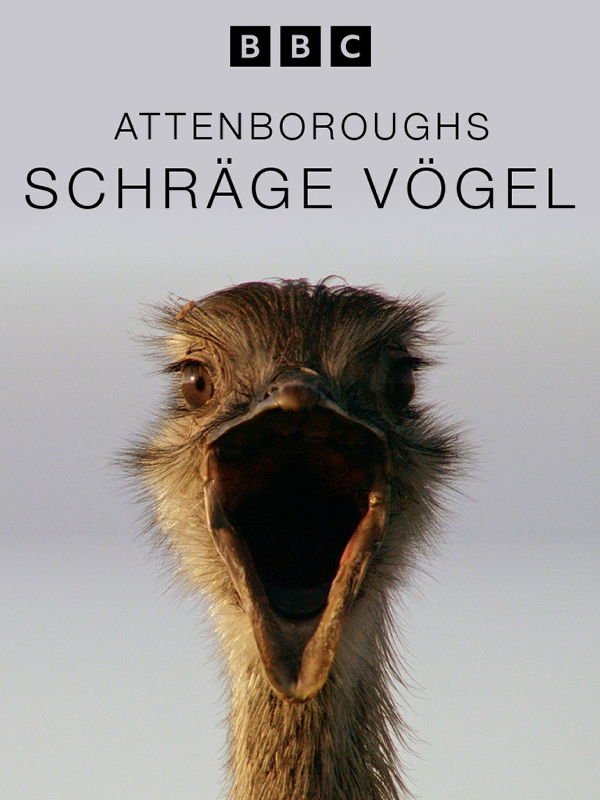Attenboroughs schräge Vögel
