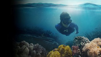 Am Meeresgrund - Im Einsatz für Korallen
