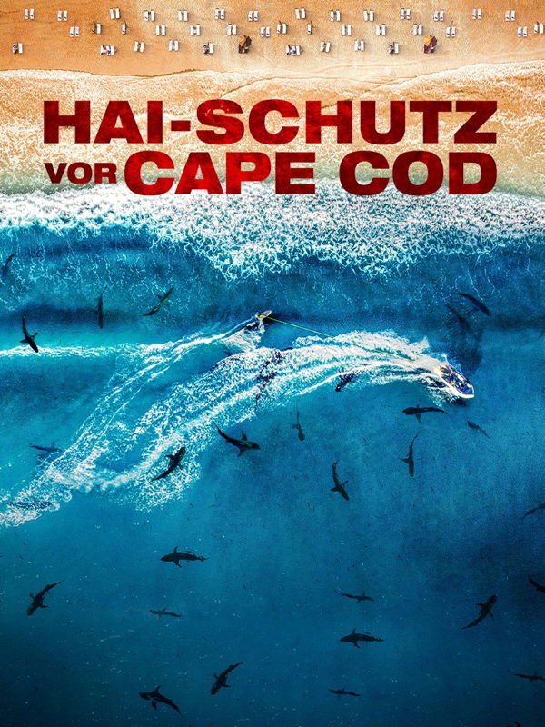 Hai-Schutz vor Cape Cod