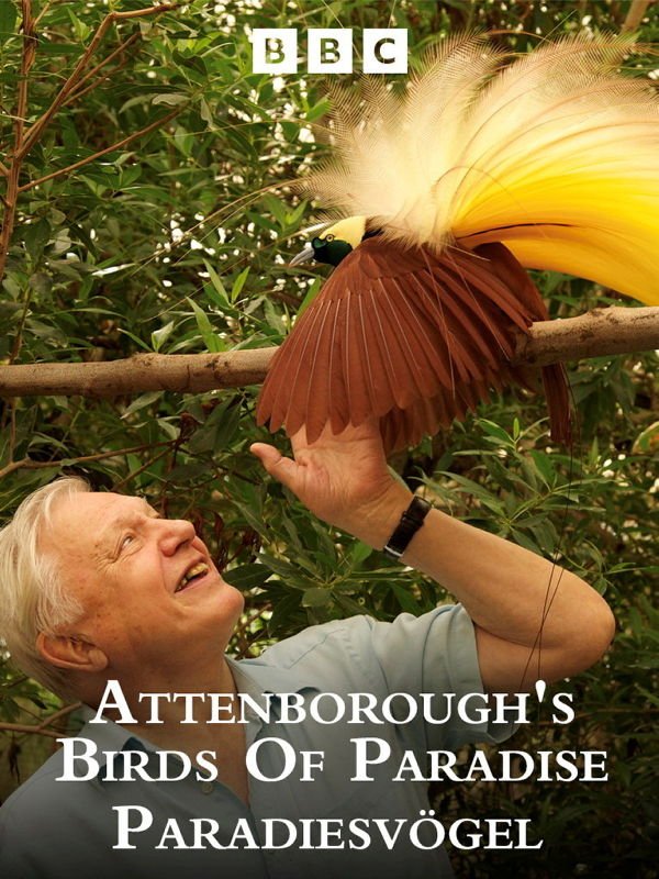 Attenboroughs Paradiesvögel