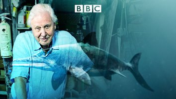 David Attenborough - Auf den Spuren des Seedrachen