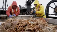 Fang des Lebens - Der gefährlichste Job Alaskas