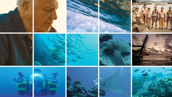 SHOWS UND DOKUS visual data 2