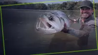 Chasing Monsters - Monsterfische am Haken