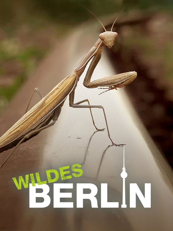 Wildes Berlin